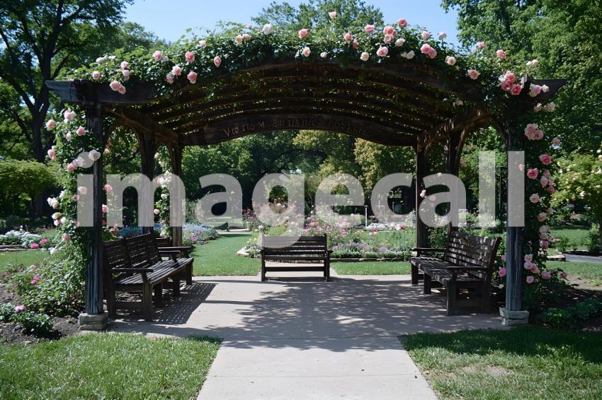 Abc1323 Victorian Botanical Garden A grand arbor covered in cli fb1e324a 0a7c 48a3 b934 7bae2c9064c2 part1