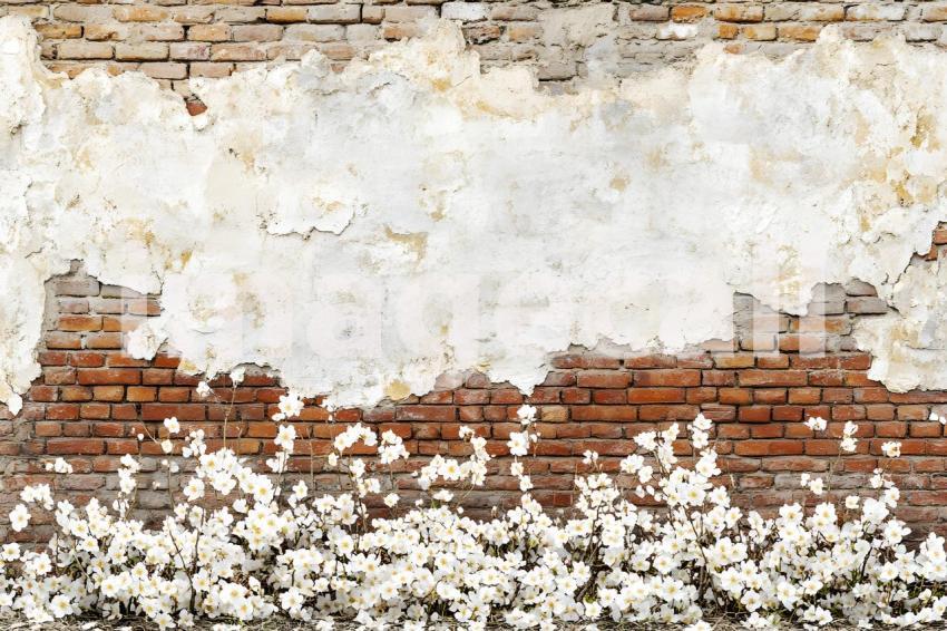 Clips12345 brick wall spring blossom and ground portrait backdr 48cc2b28 0a6a 43be 96e6 e57051b19023 part4