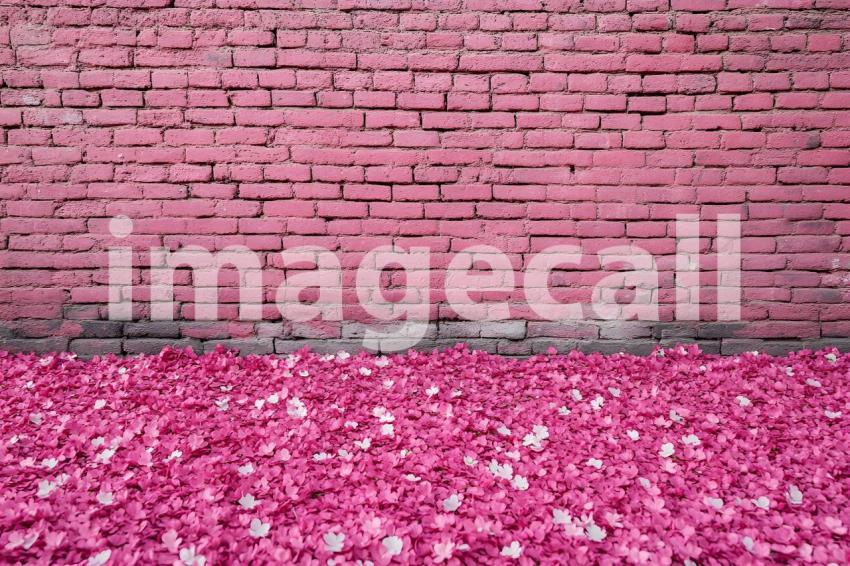 Clips12345 brick wall spring blossom and ground portrait backdr 48cc2b28 0a6a 43be 96e6 e57051b19023 part1
