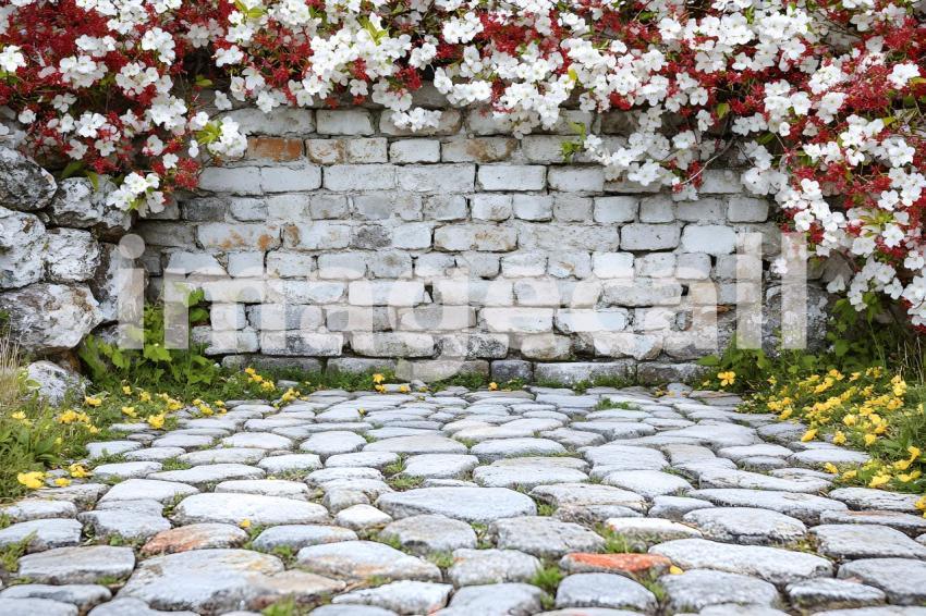 Clips12345 brick wall spring blossom and ground portrait backdr f9252b32 c372 4d98 bb4e 51a915851faf part3