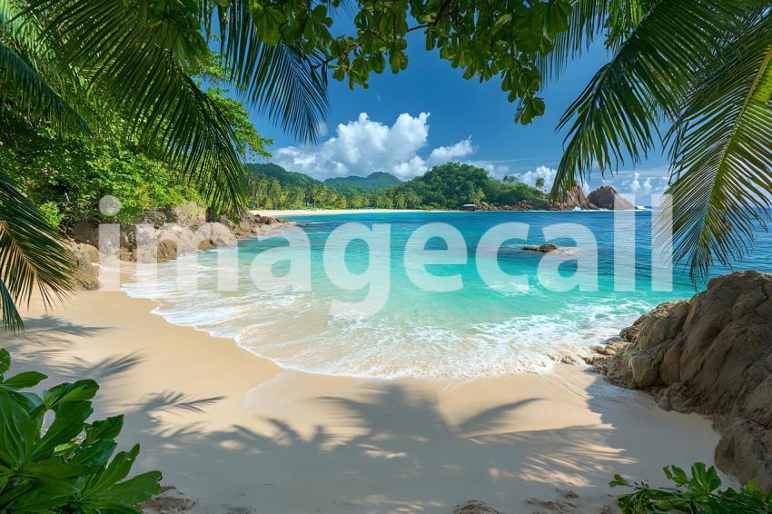U3644368625 Tropical Beach Paradise A pristine tropical beach 06a39515 78d5 4b27 a060 edc9e7beba51 3
