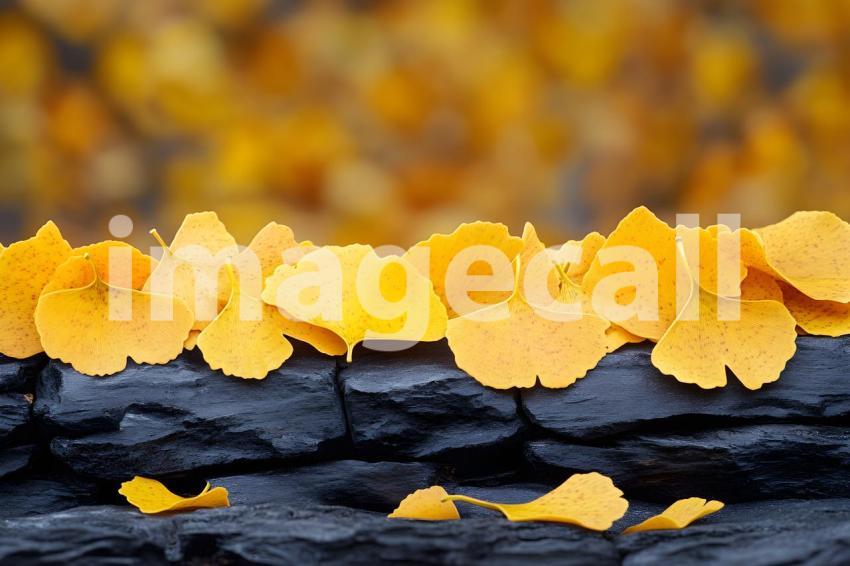 Clips12345 Autumn Ginkgo Leaves A golden hued autumn backdrop 8d455382 65b5 4e2d 885a 6e24943ad324 2