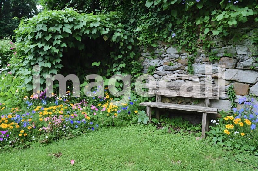 Abc1323 Mystical Ivy Garden A hidden garden overrun with ivy  a789193f 4320 42e2 8b13 4ef75188066f 2