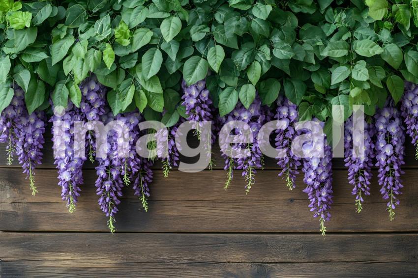 Clips12345 Wisteria Wonderland Cascading purple wisteria bloo 3e91ccab 5cbb 4237 a162 42c3f6656ce0 1
