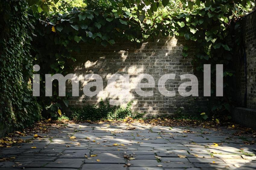 Clips12345 brick wall ivy and ground portrait backdrop   lots o 149130c8 ce64 4ba6 b425 8950e68e65ff part1
