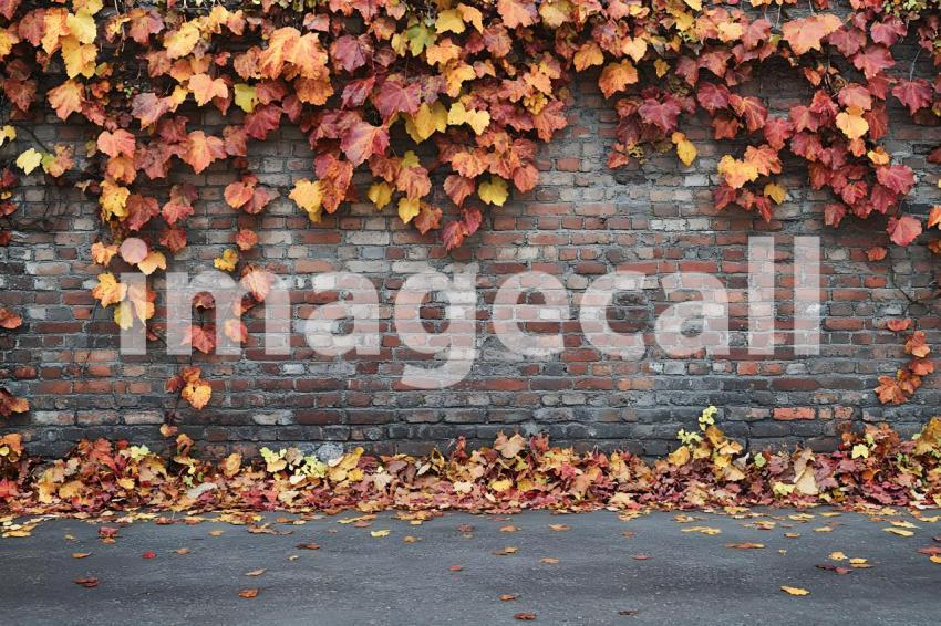 Clips12345 brick wall ivy and ground portrait backdrop   lots o 9018ba71 5d78 4d03 b99d 3b72e3f4d727 part4