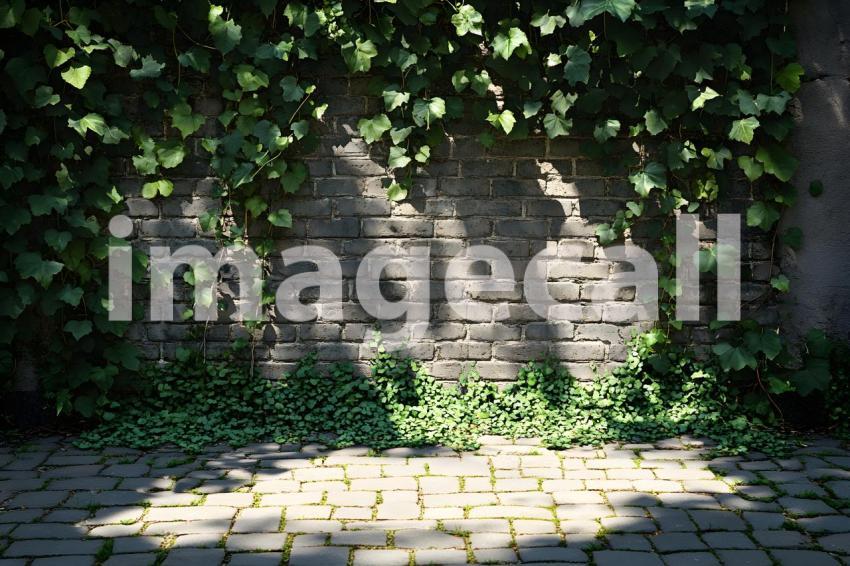 Clips12345 brick wall ivy and ground portrait backdrop   lots o 149130c8 ce64 4ba6 b425 8950e68e65ff part2