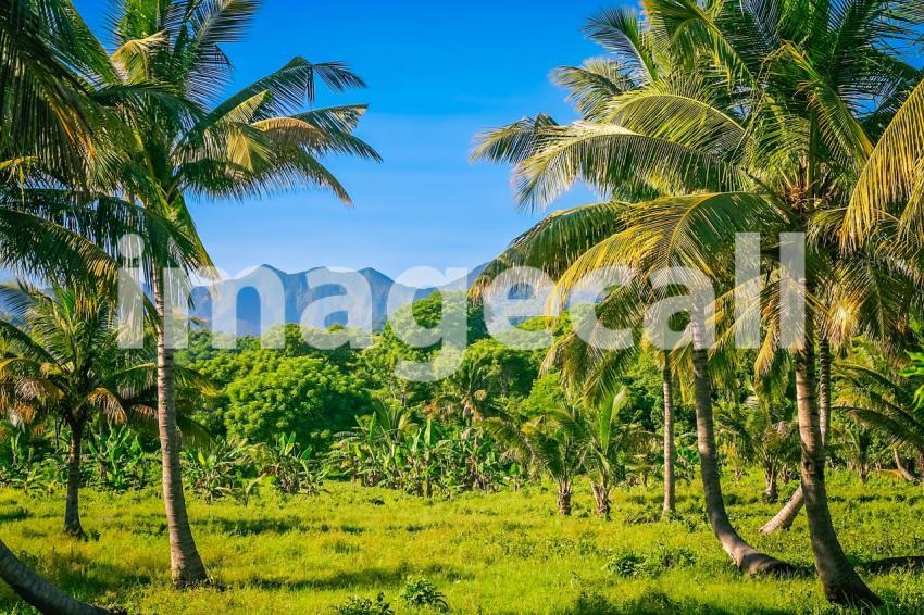 Landscape of Sumbava Island