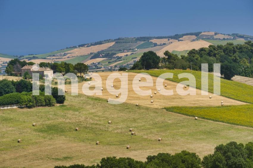 Landscape near Sant'Elpidio a Mare (Marches, italy)