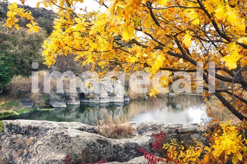 Lake in mountains under yellow tree