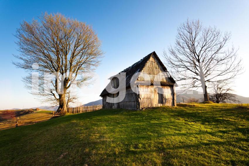 Wooden barn on hill with two trees