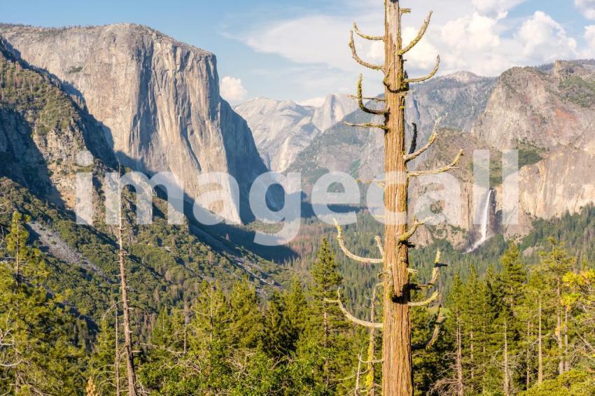 Yosemite National Park Valley summer landscape