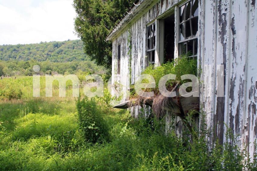 Abandoned farm t20 pYev2N