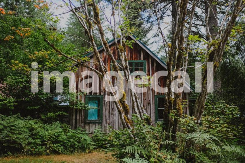 Cabin goals t20 WQYp04