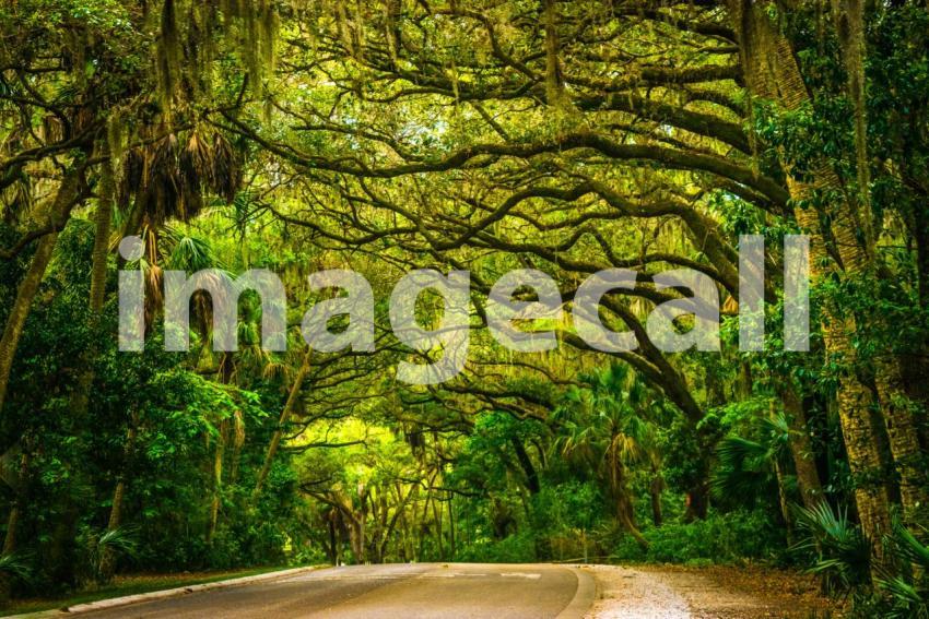 Magical drive trough t20 v32x1G