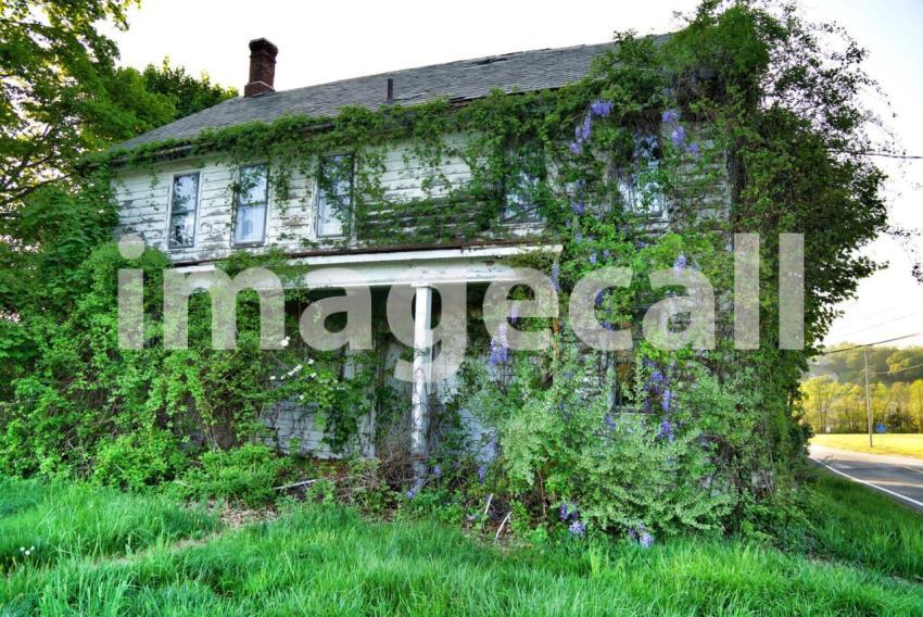 House disappearing into nature t20 7JPVbZ