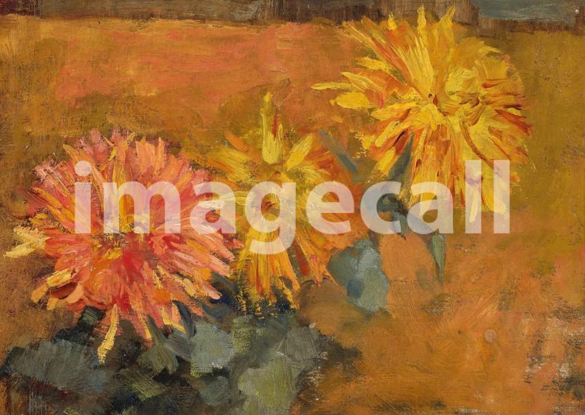 Drie Chrysanten (circa 1899 1900)