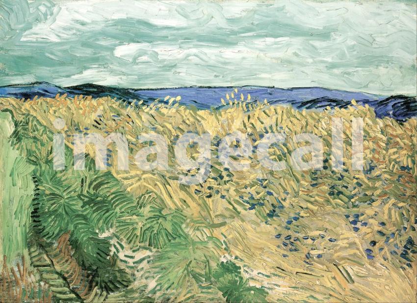 Van Gogh 71