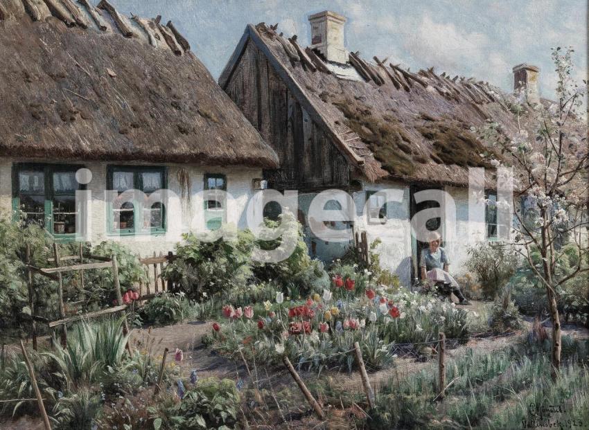 Cottagees & Houses 55 3