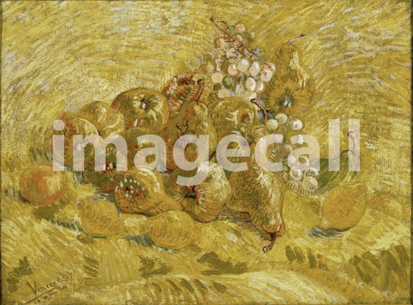 Van Gogh 96
