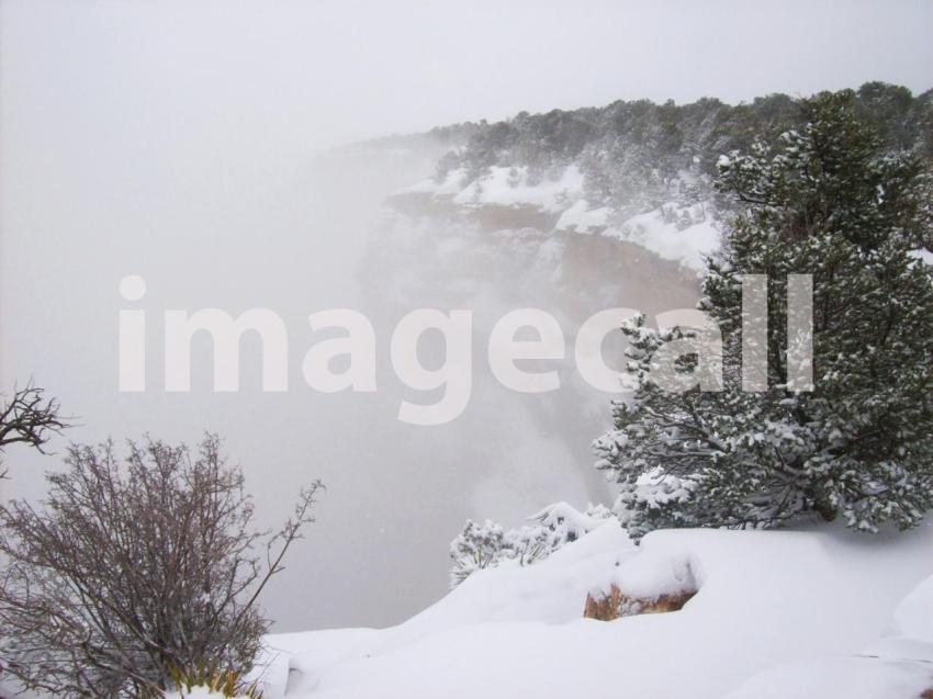 Beautiful nature fog in grand canyon after a snow storm that kept the visibility in zero but still t20 7l3KZO