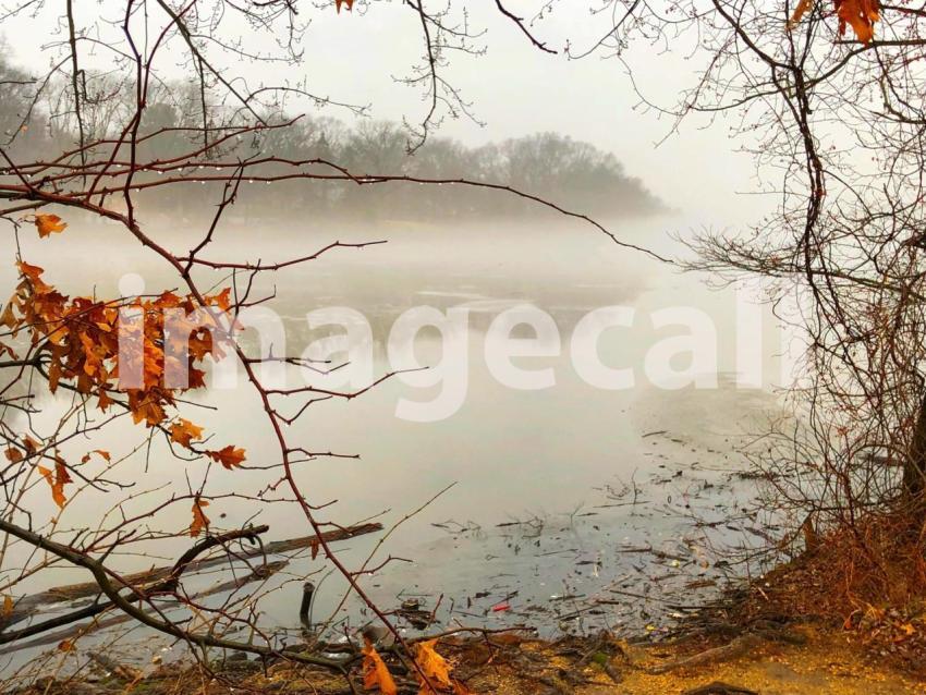 A winter afternoon as the fog slowly starts to cover lake carnegie lake morning sunrise fog trees t20 wQL1r0