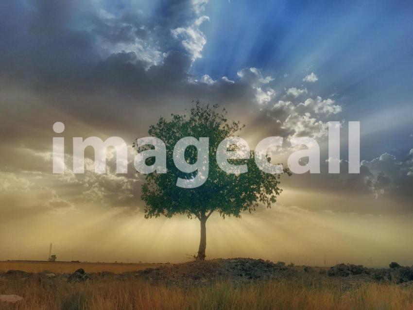 Colores en la tarde t20 LQYRxY