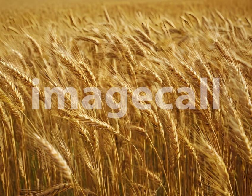 Abstract and Surreal Backgrounds (254)