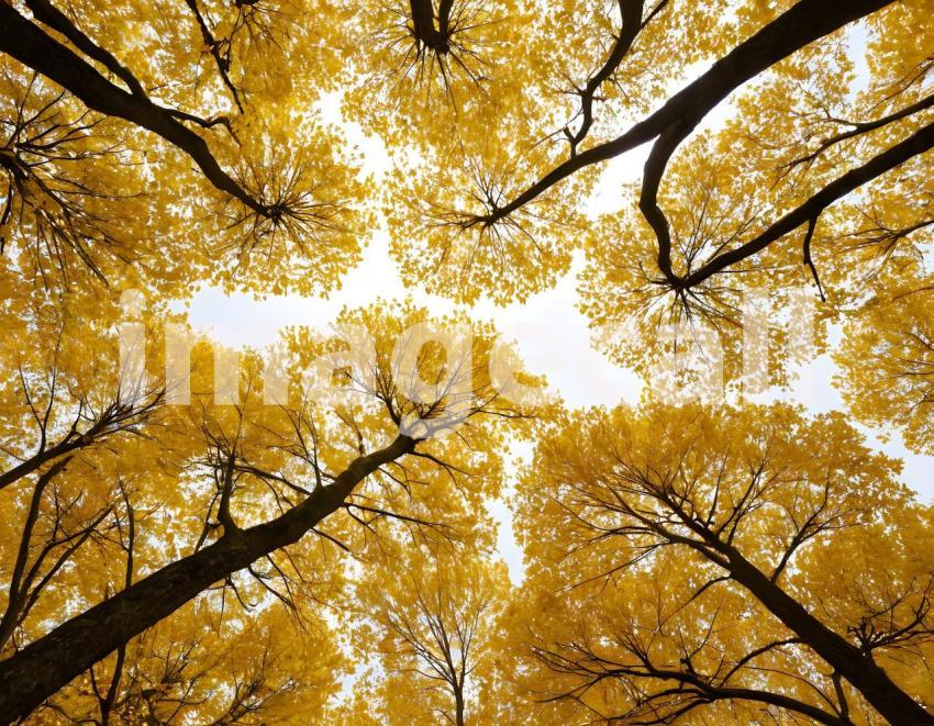 Abstract and Surreal Backgrounds (620)