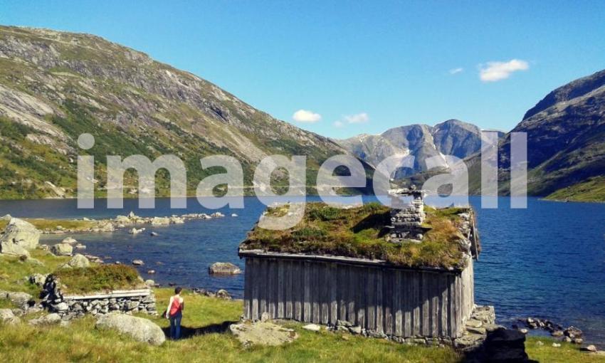 My future house t20 knVwkR