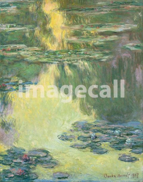Waterlilies (1907)