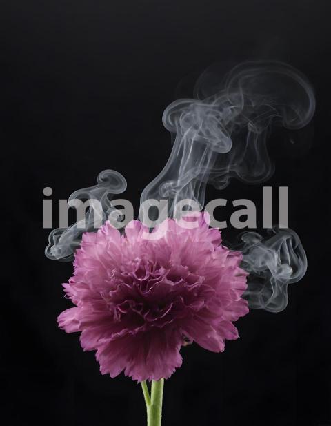 Effects Smoke (1375)