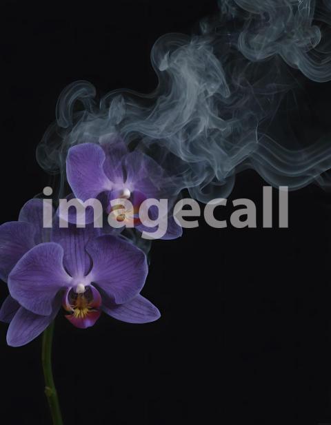 Effects Smoke (1804)