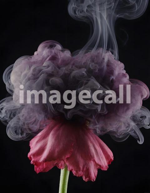 Effects Smoke (1836)