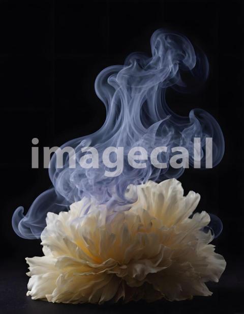 Effects Smoke (2021)