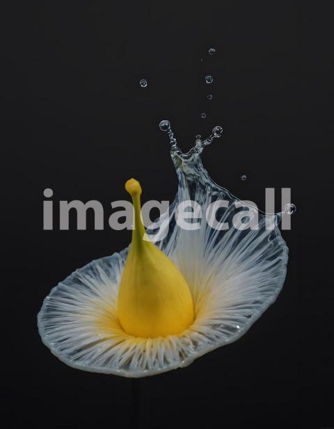 Effects water (4098)