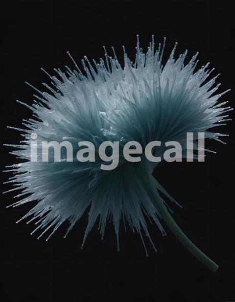 Effects water (4229)