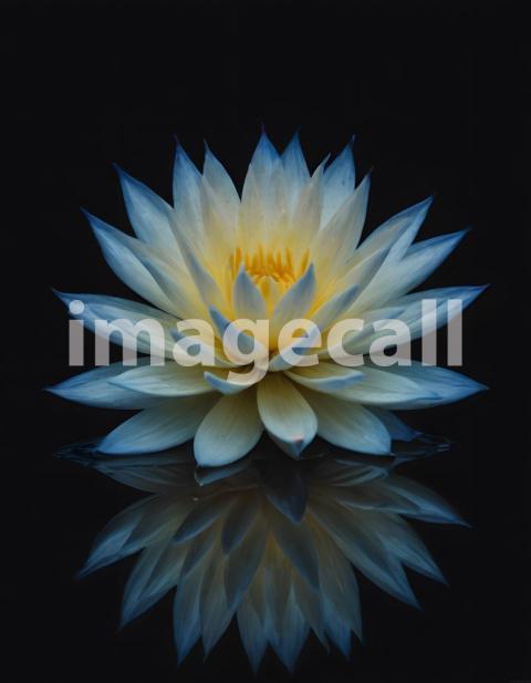 Effects water (2049)