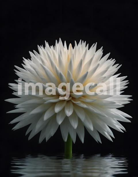 Effects water (2619)