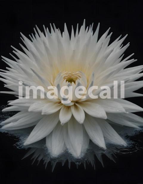 Effects water (2638)