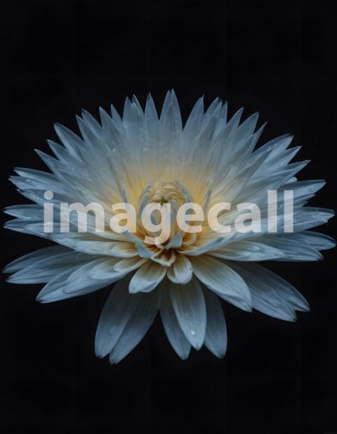 Effects water (2769)