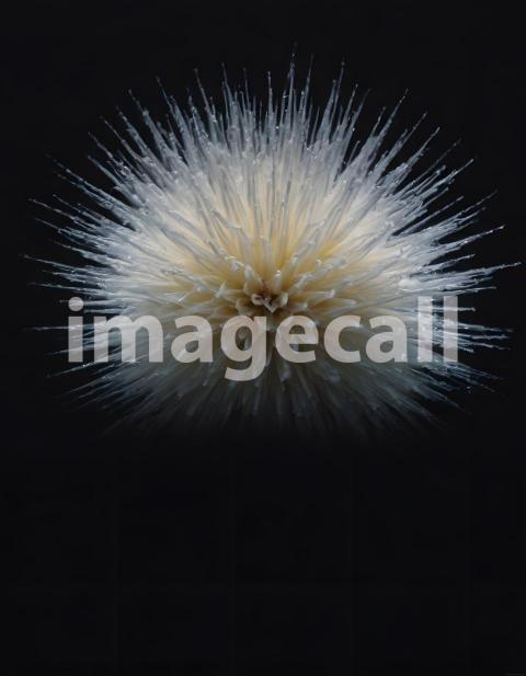 Effects water (3194)