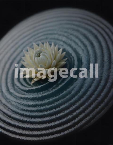 Effects water (4539)