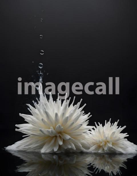 Effects water (1532)