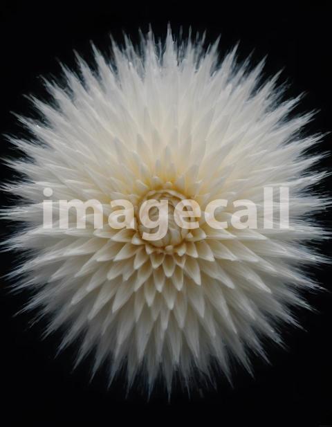 Effects water (1625)