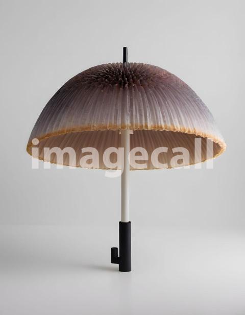 Isolated on white or black background Mushroom (1)