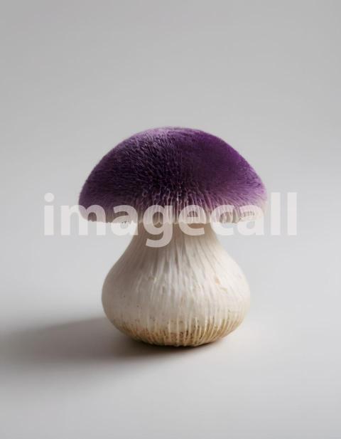Isolated on white or black background Mushroom (2446)