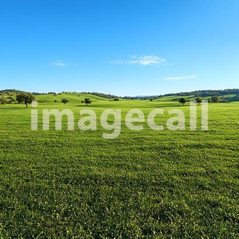 Abc1323 Open Fields with Distant Trees A backdrop depicting vas 8b2ceb6d b32b 4d40 bb46 015c70c33a86 part1