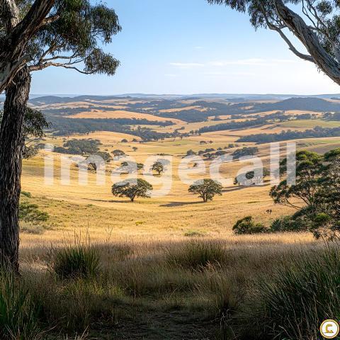Abc1323 Open Fields with Distant Trees A backdrop depicting vas bfb2faa3 879f 4808 988c 78a268e6b44b part4