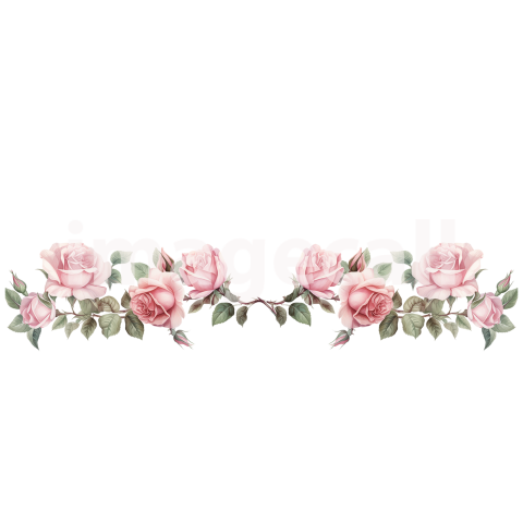 Pink Wedding Roses (3)